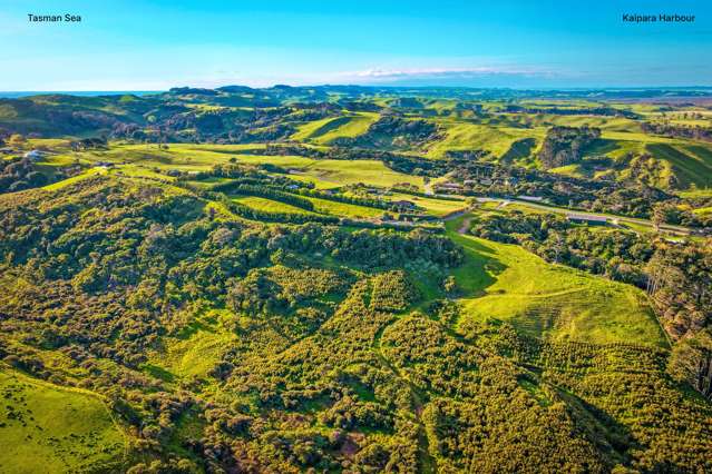 Kaipara to the Left-Tasman to the Right-Here I am