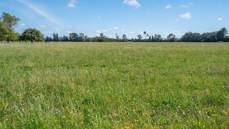 185 Ashworths Road Amberley_12