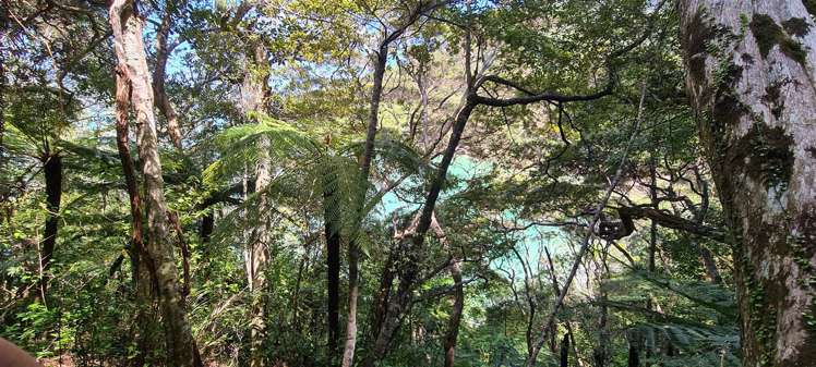 Whangaroa Road Kaeo_14