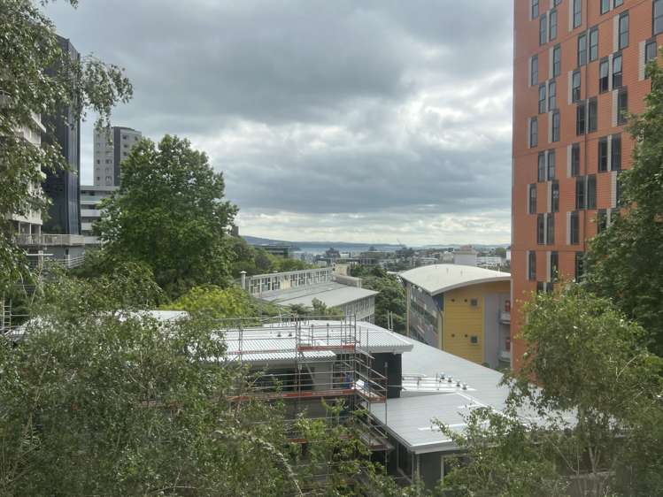 4b/2 Whitaker Place Grafton_3