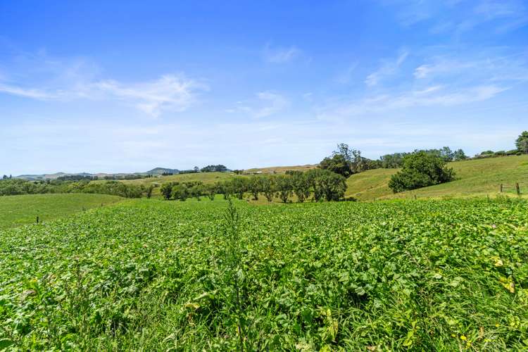 458 Rotowaro Road Huntly_12