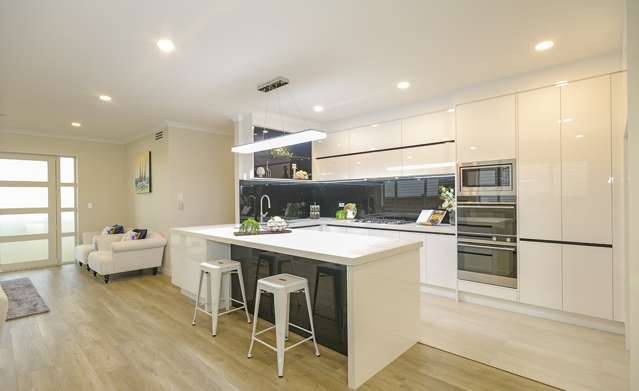 125 Thomas Road Flat Bush_1