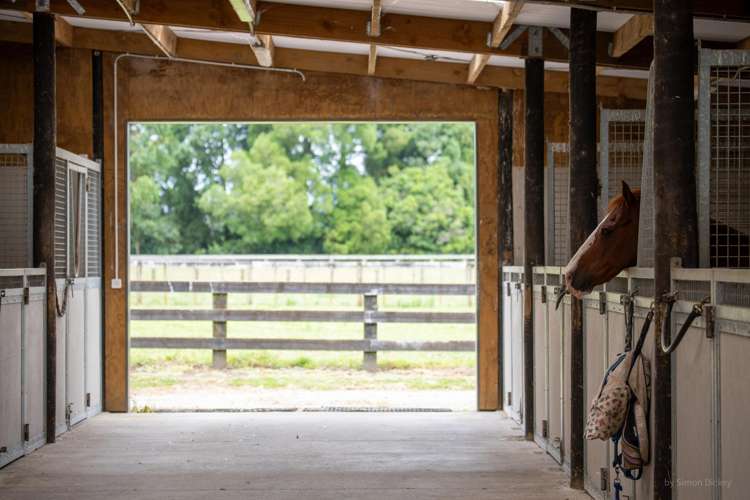 626B Ngaruawahia Road Te Kowhai_40