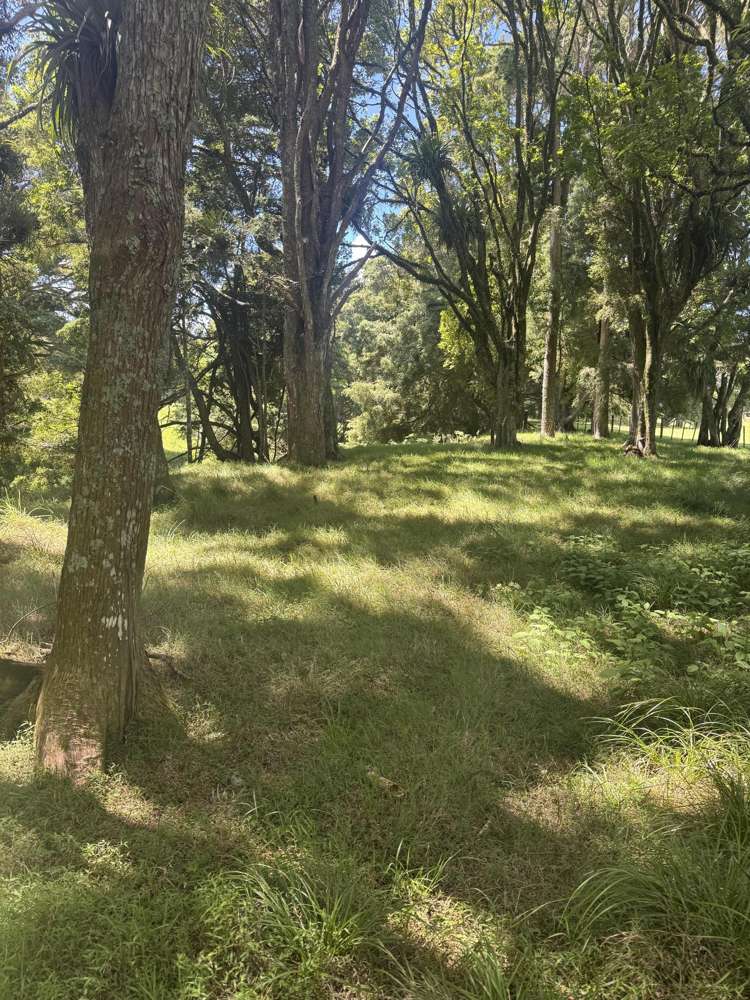 643 Whangaripo Valley Road Whangaripo_7