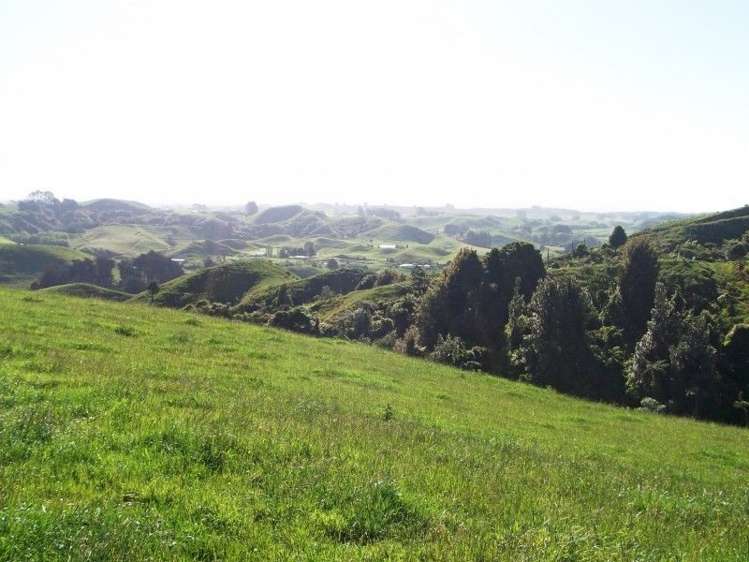 446 Stanley Road Te Popo_52