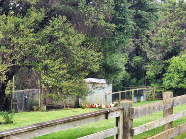 58 Quail Road Kaukapakapa_12