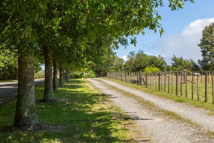 842 State Highway 2 Masterton_11