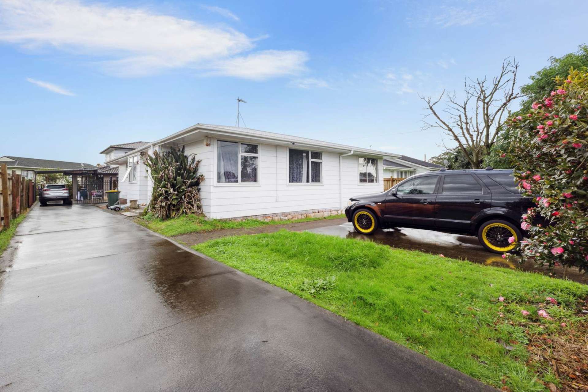 22 Ferguson Street Mangere East_0