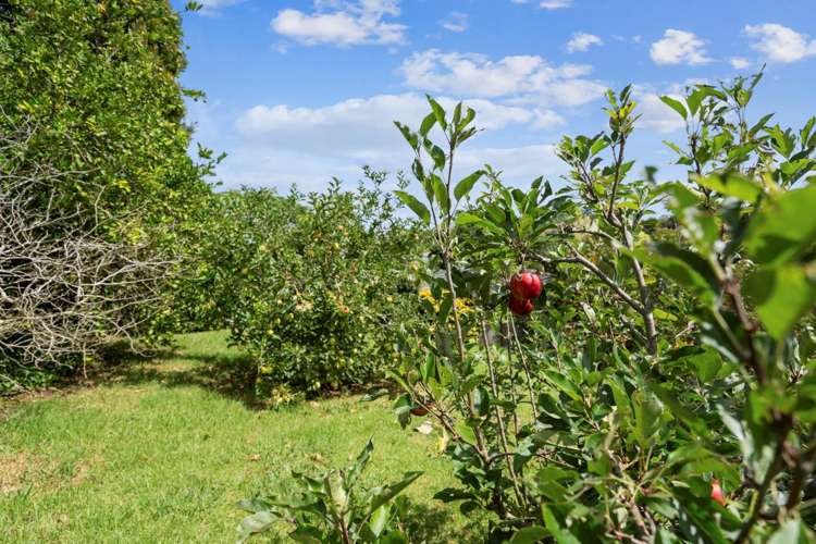 31 Makora Road Massey_6