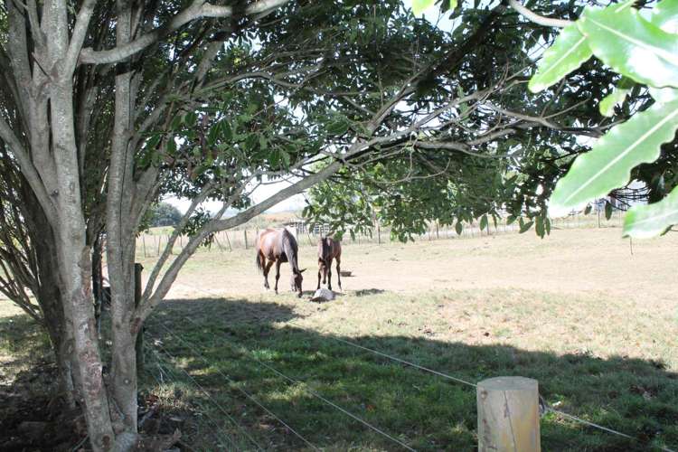 40 Maxwell Road Maramarua_24