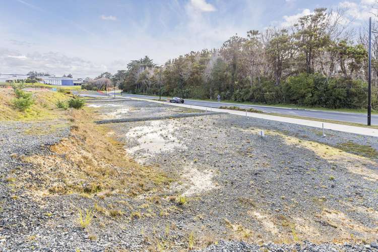 12 - 20 Tokoeka Lane Kenepuru_18