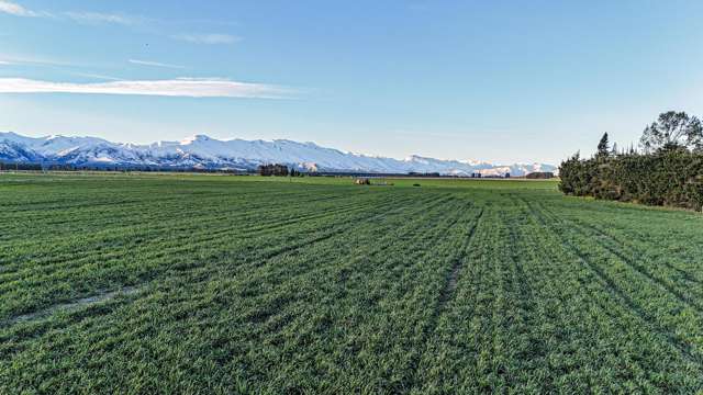 391 Hamilton Road Fairlie_4