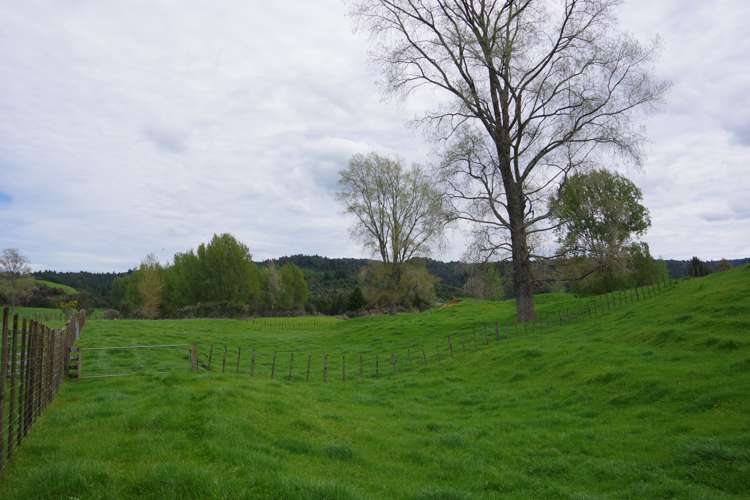 431 Arataki Road Mangakino_11