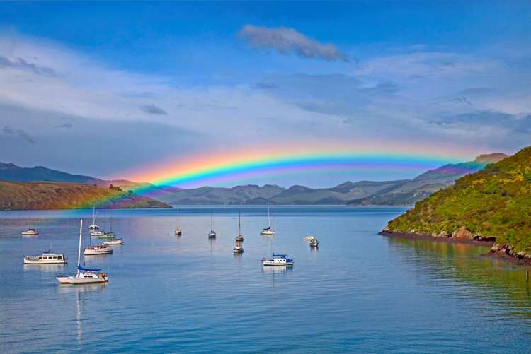 31 Harbour View Terrace Cass Bay_12