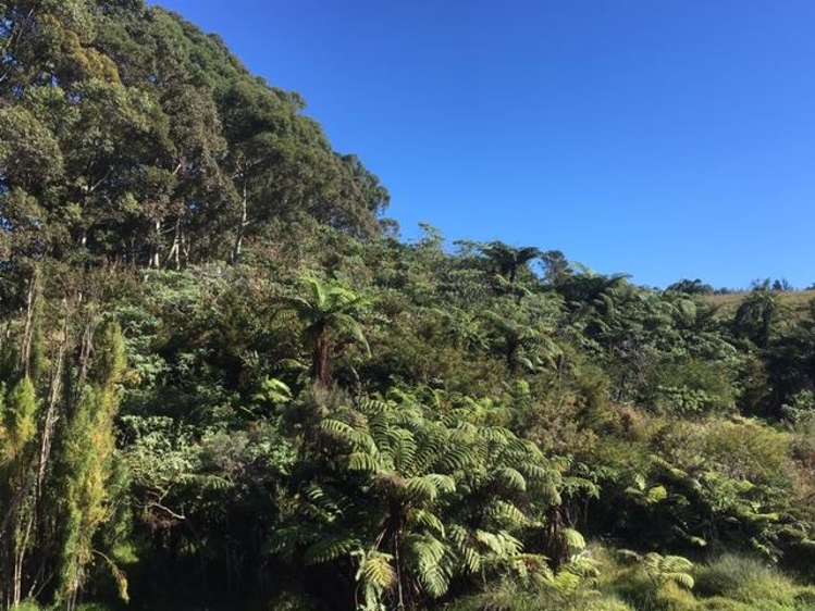 27 Redcliffs Road Kerikeri_16