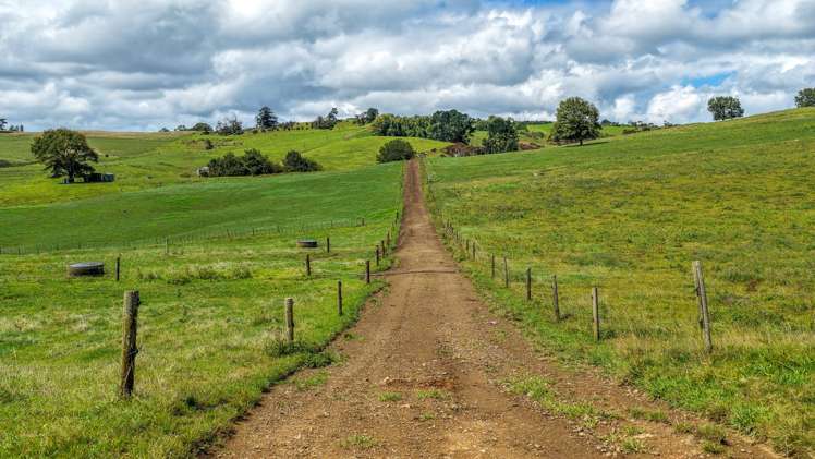 103A Ginn Road Huntly_15