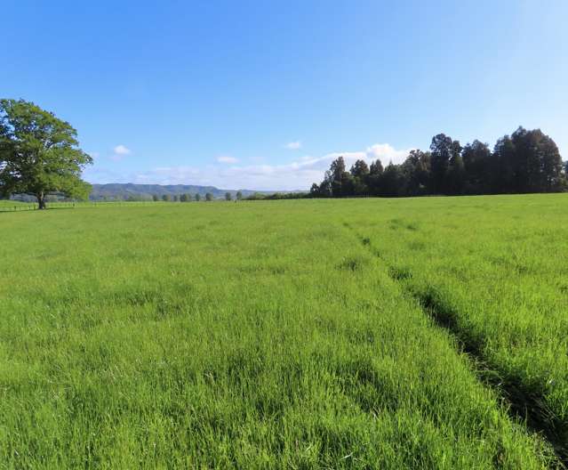 Lot 3 Mirfins Road Reefton_2