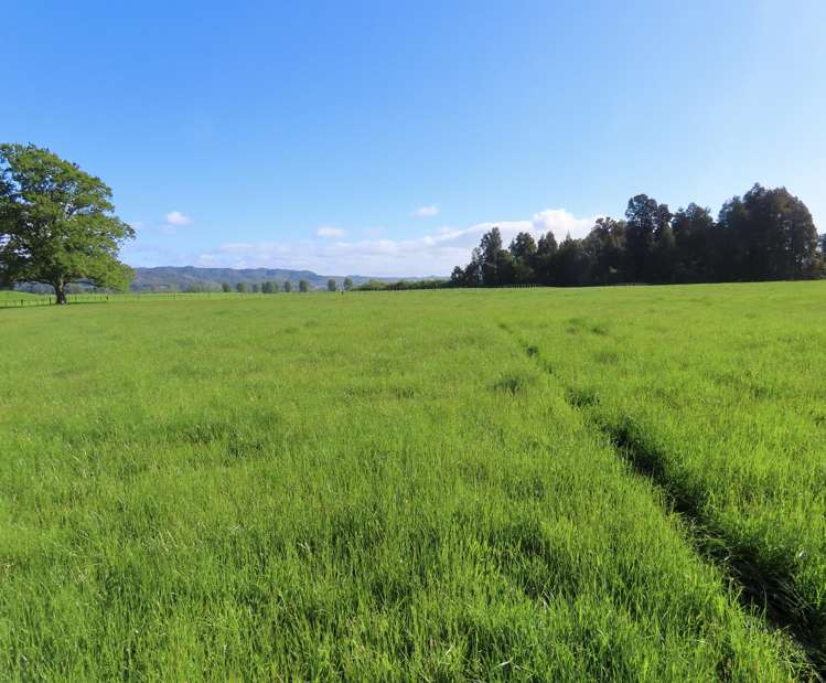 Lot 3 Mirfins Road Reefton_2