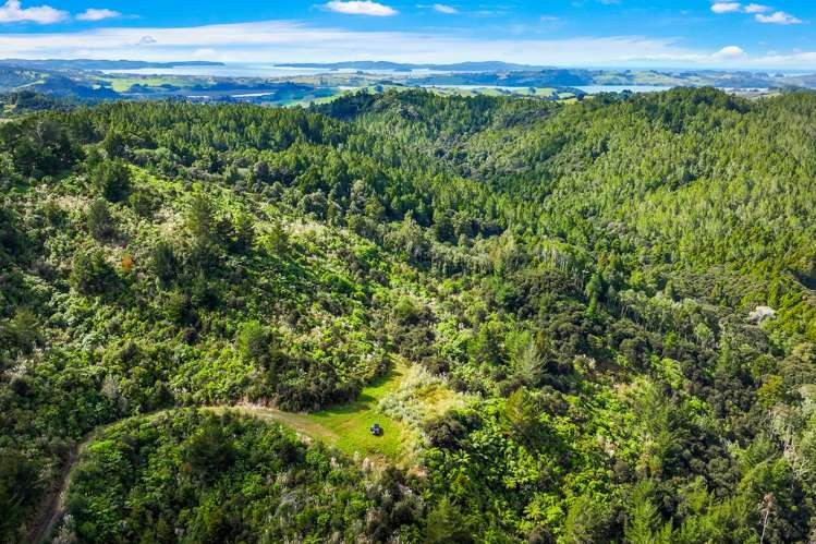 Lot 3 Radiata Road Warkworth_17