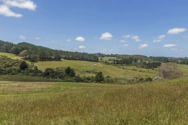 Lot 4/1625 Kaipara Coast Highway Kaukapakapa_4