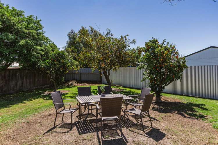 26 Mason Avenue Maraenui_15
