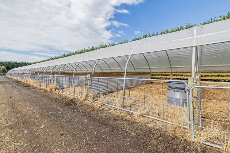 391 Sharlands Road Dunsandel_23