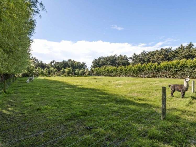 281 Pannetts Road Springston_24