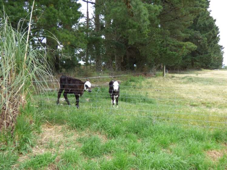 924 Telegraph Road Darfield_12