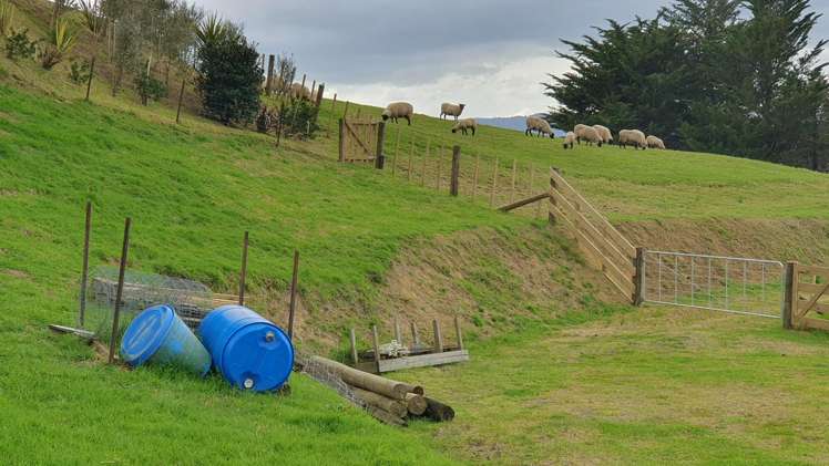 4 Kendall Road Maungakaramea_20