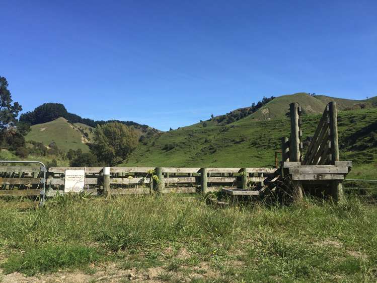 547 Papaiti Road Papaiti_13