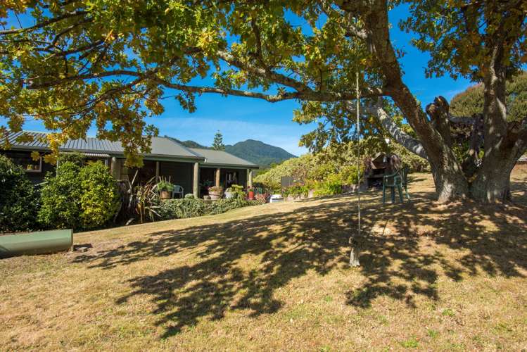 27a Dorset Street Picton_17