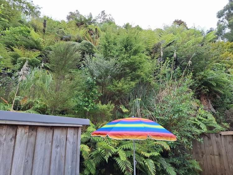 209B Scotsman Valley Road Tauwhare_6