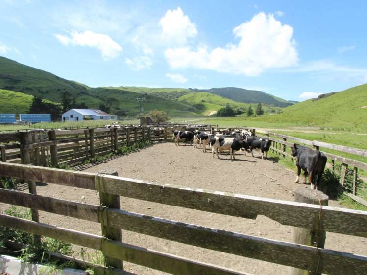 934 Coonoor Road Pahiatua_15