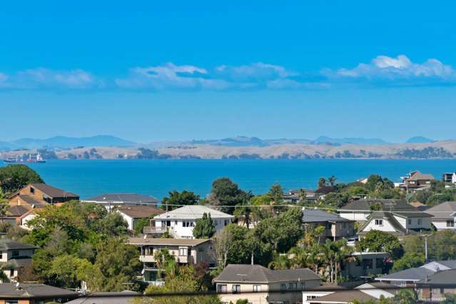 Rangitoto Zone + Future Potential