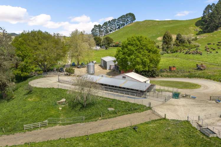 58 Nicholson Road Piarere_40