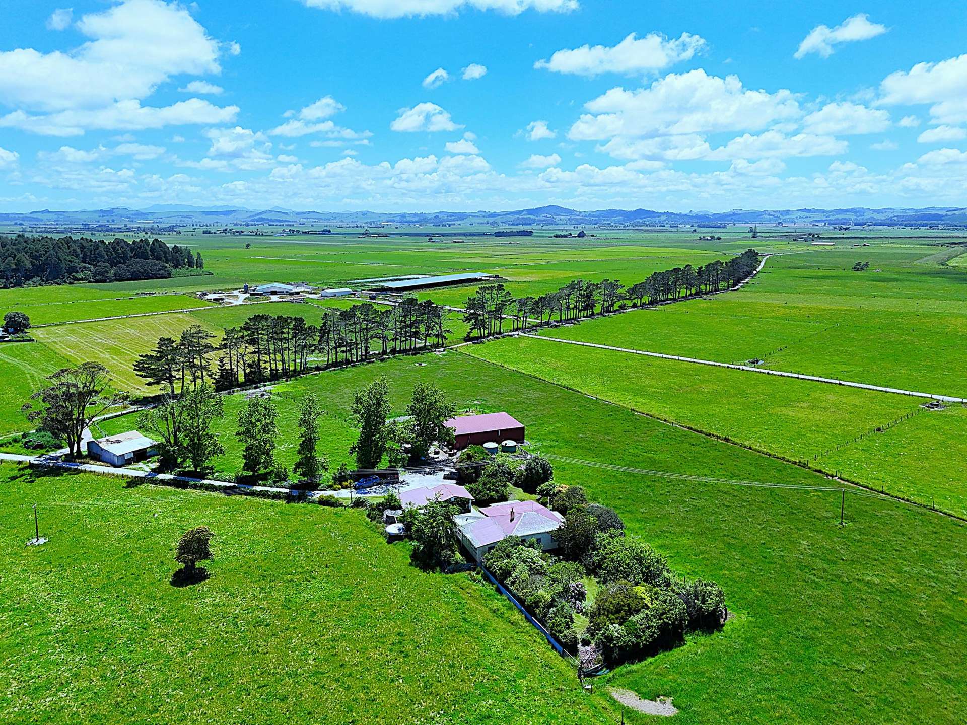 331 Simpson Road Ruawai_0