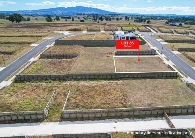 Lot 85, 95 Sierra Place, Frontier Estate Te Awamutu_2