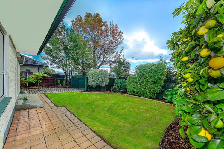 76 Wingate Street Redwood_17