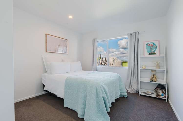 163F Ngahape Road Te Awamutu_10