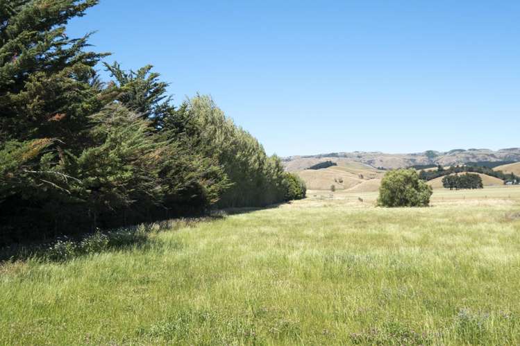 855 Omihi Road Omihi_18