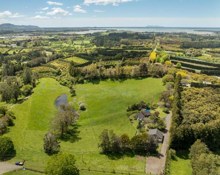 42 Walker Road West Aongatete_25