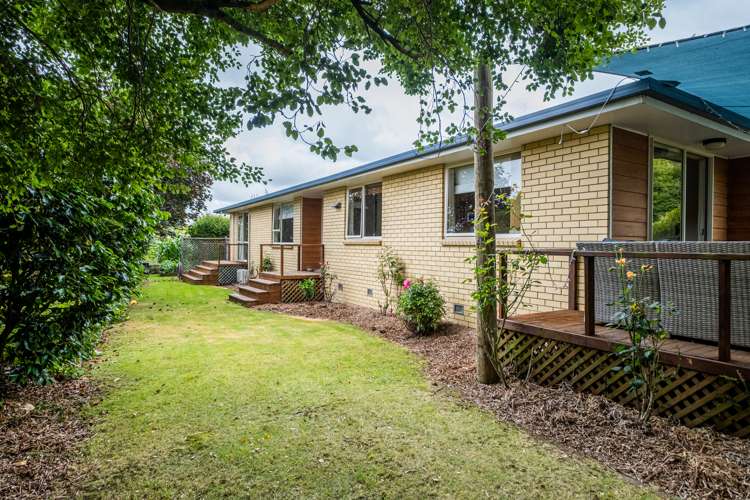 5 Williamson Place Geraldine_25