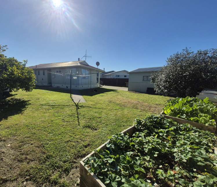 50 Puriri Crescent Edgecumbe_15