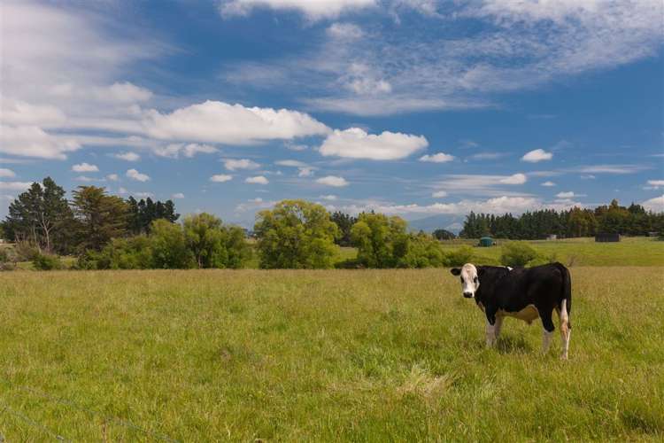 234 Carrs Road Loburn_16