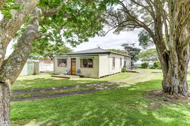 1173 Karahaki Road Waverley_1