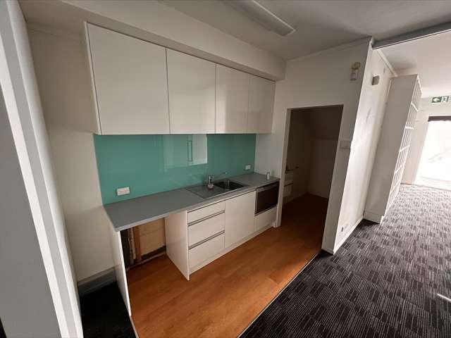 21 Webb Street Te Aro_1