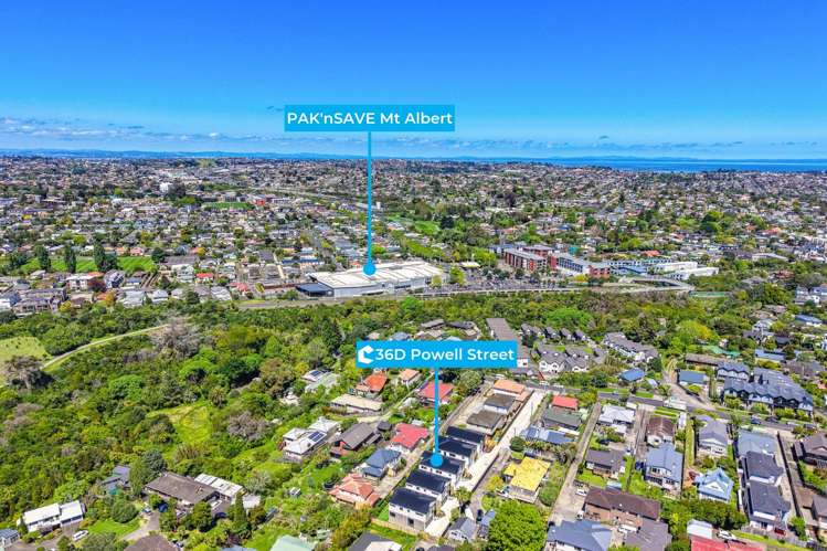 36D Powell Street Avondale_29