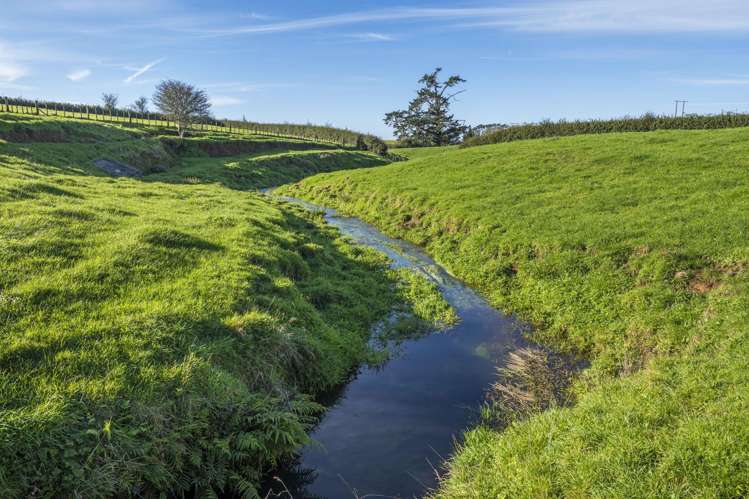 241 Warwick Road Stratford_9