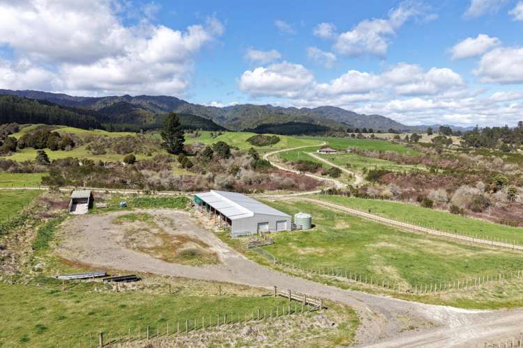 283 Minginui Road Galatea_45