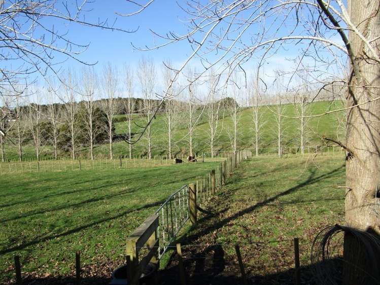 445 Pungaere Road Kerikeri Surrounds_18